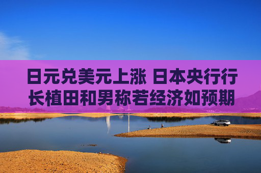 日元兑美元上涨 日本央行行长植田和男称若经济如预期改善将调整政策  第1张