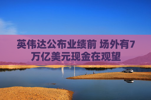 英伟达公布业绩前 场外有7万亿美元现金在观望