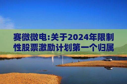 赛微微电:关于2024年限制性股票激励计划第一个归属期归属条件成就的公告