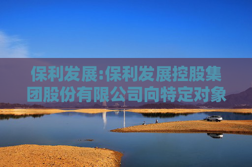 保利发展:保利发展控股集团股份有限公司向特定对象发行可转换公司债券验资报告（信会师报字【2025】第ZG12401号）