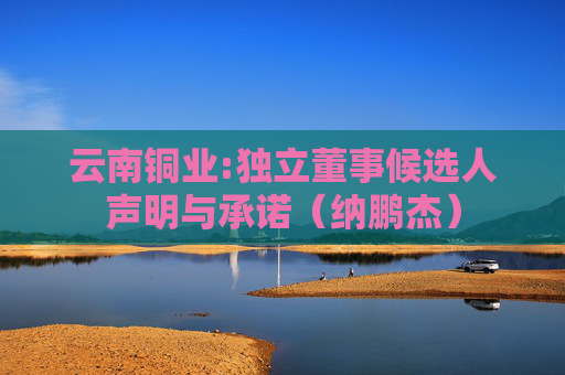 云南铜业:独立董事候选人声明与承诺（纳鹏杰）