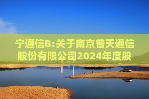 宁通信B:关于南京普天通信股份有限公司2024年度股东大会的法律意见书