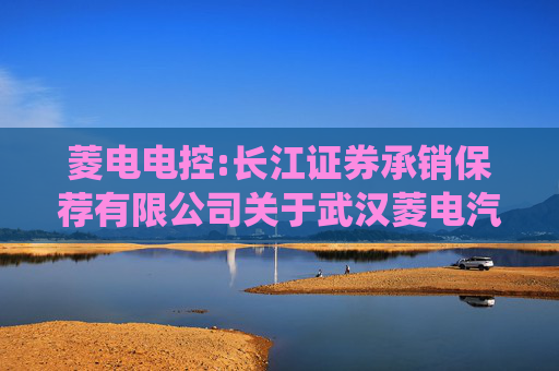 菱电电控:长江证券承销保荐有限公司关于武汉菱电汽车电控系统股份有限公司本次重大资产重组前发生业绩异常或存在拟置出资产情形的专项核查意见