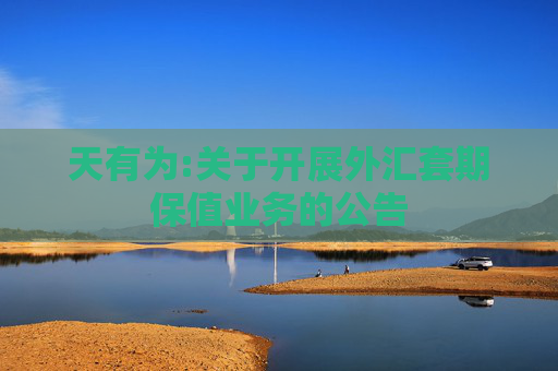 天有为:关于开展外汇套期保值业务的公告