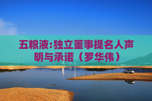 五粮液:独立董事提名人声明与承诺（罗华伟）