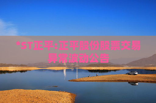 *ST正平:正平股份股票交易异常波动公告