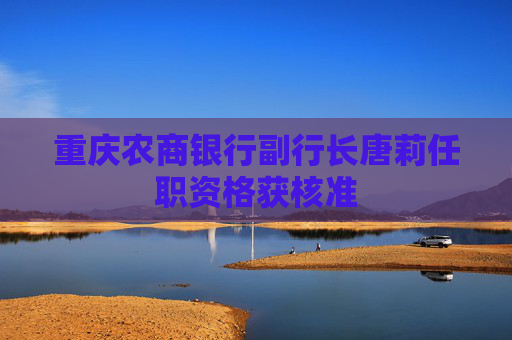 重庆农商银行副行长唐莉任职资格获核准