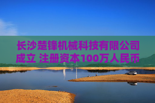 长沙楚锋机械科技有限公司成立 注册资本100万人民币