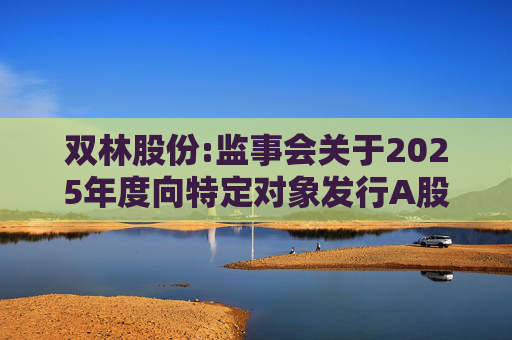 双林股份:监事会关于2025年度向特定对象发行A股股票的书面审核意见