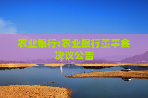 农业银行:农业银行董事会决议公告