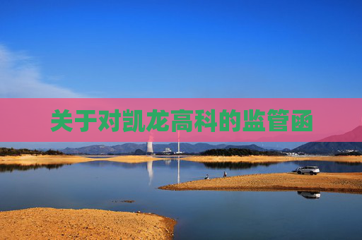 关于对凯龙高科的监管函