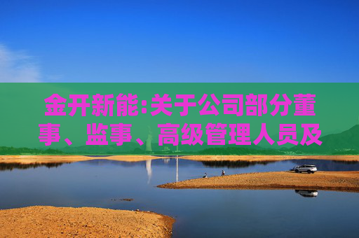 金开新能:关于公司部分董事、监事、高级管理人员及其他核心骨干员工自愿增持公司股份计划暨落实“提质增效重回报”行动方案的进展公告