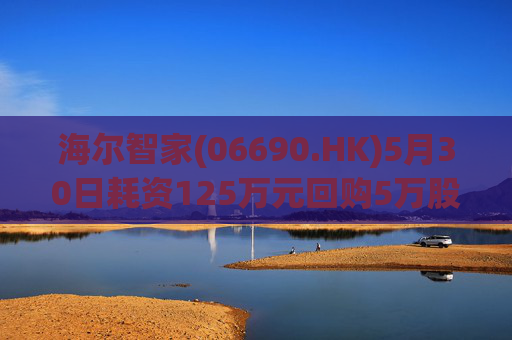 海尔智家(06690.HK)5月30日耗资125万元回购5万股A股