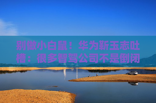 别做小白鼠！华为靳玉志吐槽：很多智驾公司不是倒闭就是做机器人去了