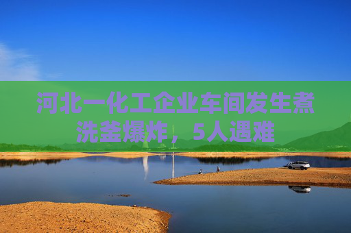 河北一化工企业车间发生煮洗釜爆炸，5人遇难