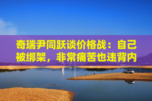 奇瑞尹同跃谈价格战：自己被绑架，非常痛苦也违背内心