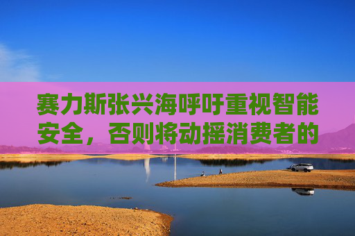 赛力斯张兴海呼吁重视智能安全，否则将动摇消费者的信心