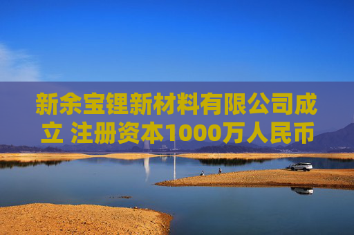 新余宝锂新材料有限公司成立 注册资本1000万人民币