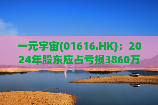 一元宇宙(01616.HK)：2024年股东应占亏损3860万元  第1张