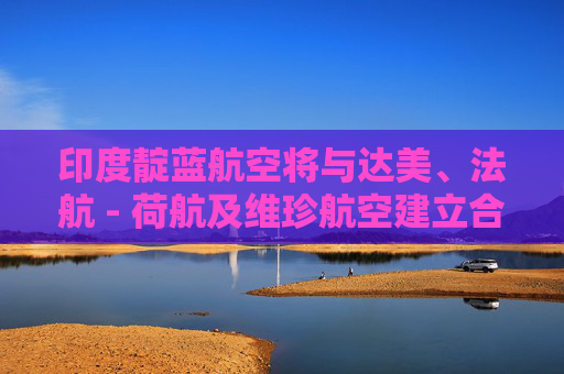 印度靛蓝航空将与达美、法航 - 荷航及维珍航空建立合作