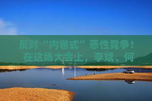 反对“内卷式”恶性竞争！  在这场大会上，李斌、何小鹏、閤先庆等表态“价格战”