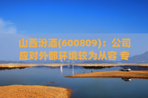 山西汾酒(600809)：公司应对外部环境较为从容 专注于组织、团队、信息化等自身能力提升