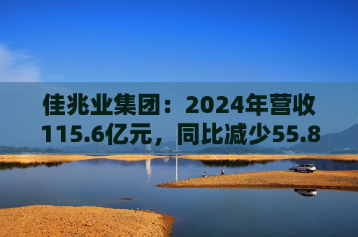 佳兆业集团：2024年营收115.6亿元，同比减少55.8%