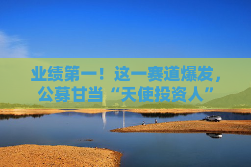 业绩第一！这一赛道爆发，公募甘当“天使投资人”