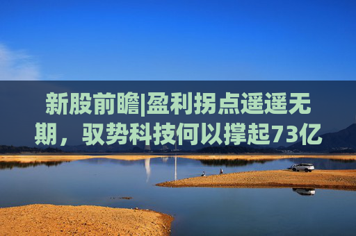 新股前瞻|盈利拐点遥遥无期，驭势科技何以撑起73亿元估值？