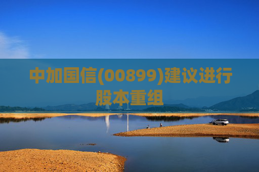中加国信(00899)建议进行股本重组