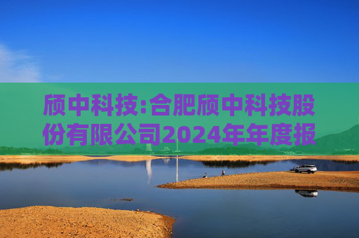 颀中科技:合肥颀中科技股份有限公司2024年年度报告  第1张