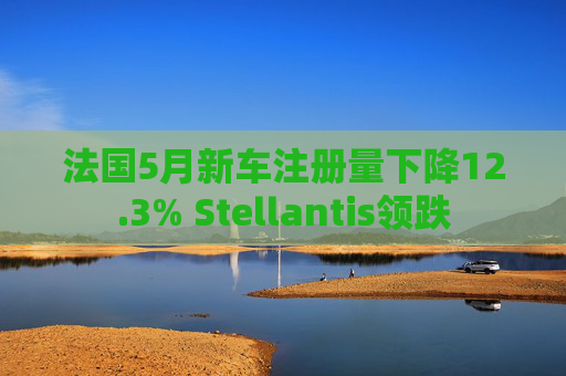 法国5月新车注册量下降12.3% Stellantis领跌
