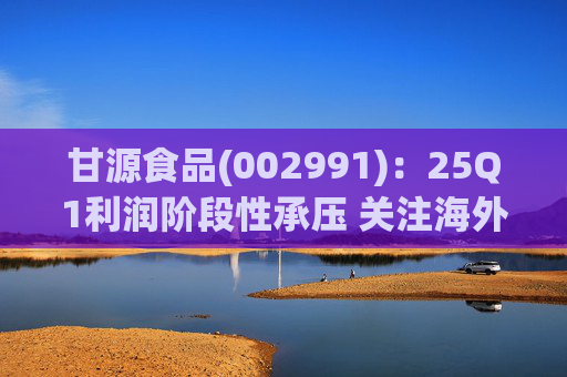 甘源食品(002991)：25Q1利润阶段性承压 关注海外市场突破