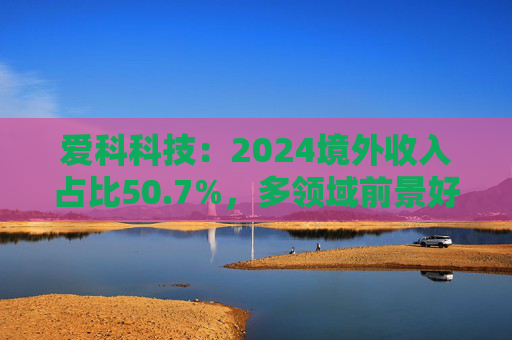 爱科科技：2024境外收入占比50.7%，多领域前景好