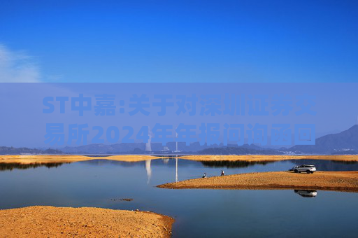 ST中嘉:关于对深圳证券交易所2024年年报问询函回复的公告