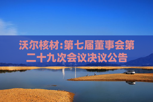 沃尔核材:第七届董事会第二十九次会议决议公告