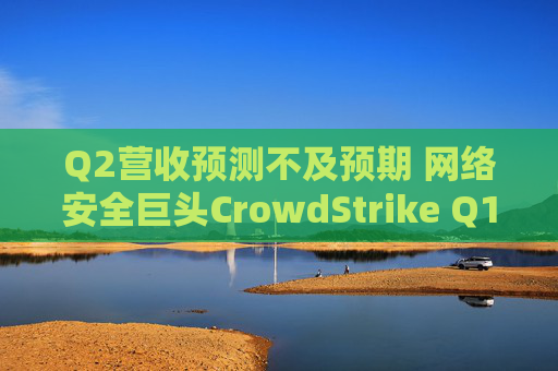 Q2营收预测不及预期 网络安全巨头CrowdStrike Q1绩后暴跌6%