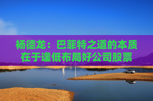 杨德龙：巴菲特之道的本质在于逢低布局好公司股票