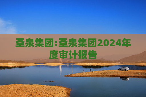 圣泉集团:圣泉集团2024年度审计报告