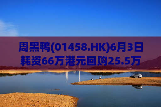 周黑鸭(01458.HK)6月3日耗资66万港元回购25.5万股