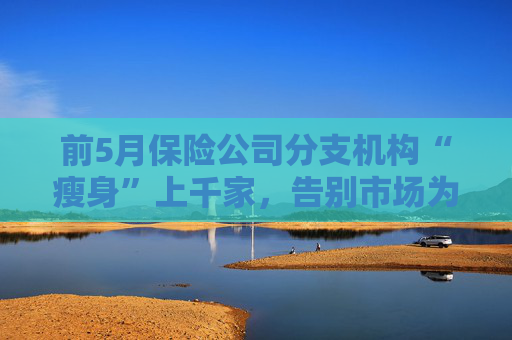 前5月保险公司分支机构“瘦身”上千家，告别市场为哪般