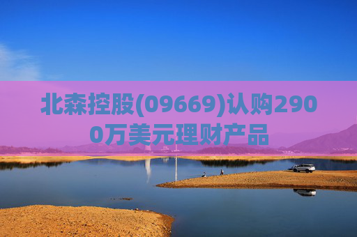 北森控股(09669)认购2900万美元理财产品