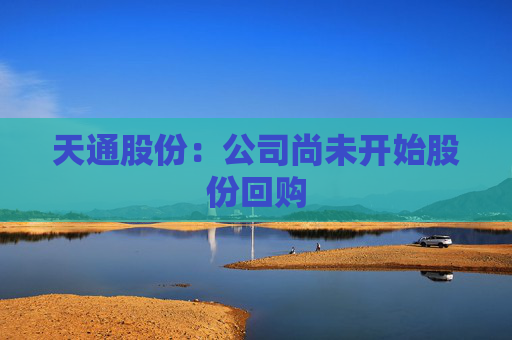 天通股份：公司尚未开始股份回购