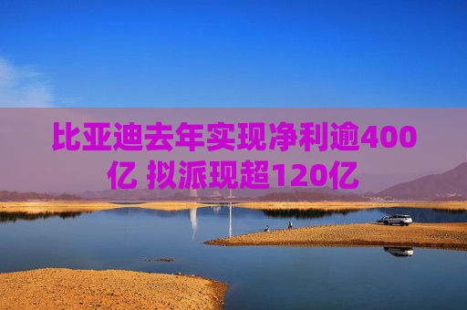 比亚迪去年实现净利逾400亿 拟派现超120亿