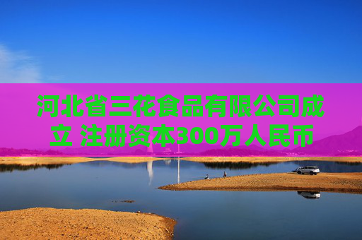 河北省三花食品有限公司成立 注册资本300万人民币