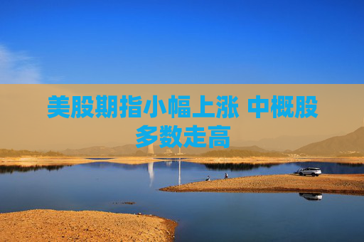 美股期指小幅上涨 中概股多数走高