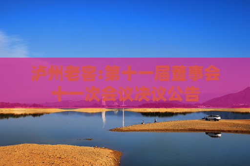 泸州老窖:第十一届董事会十一次会议决议公告