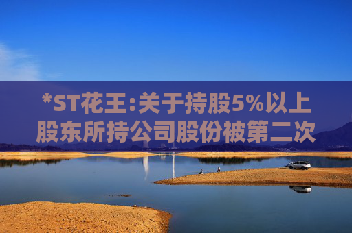 *ST花王:关于持股5%以上股东所持公司股份被第二次司法拍卖的进展公告