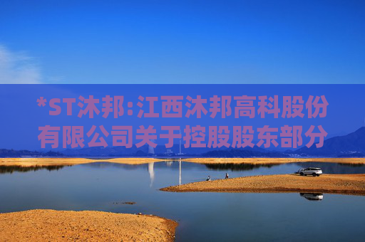 *ST沐邦:江西沐邦高科股份有限公司关于控股股东部分股份被冻结的公告