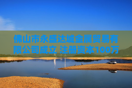 佛山市永盛达城金属贸易有限公司成立 注册资本100万人民币